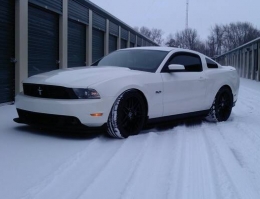 Performance White 5.0