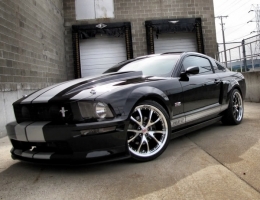 Shelby GT