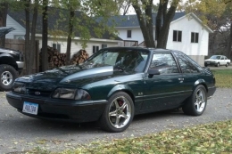 Notchback