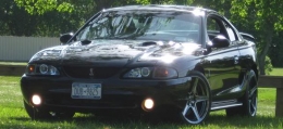 SN95 Cobra