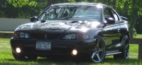 SN95 Cobra