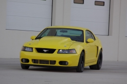 Zinc Yellow Cobra