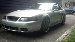 SVT Cobra