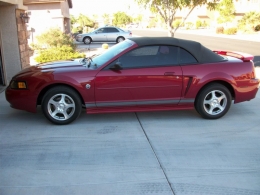 Poonstang Convertible