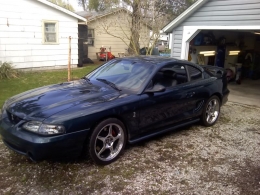 Cobra Clone