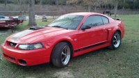 Mach 1 CobraJet