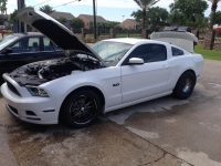 GT
