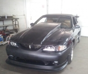 Cobra Vert Stalker